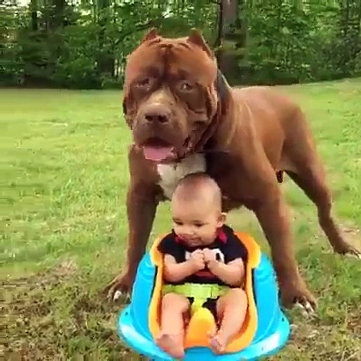 oh c'est Trop Mignon