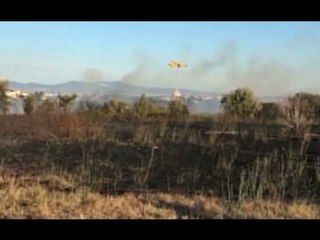 Roma - In fiamme la collina di Monte Mario (24.08.16)