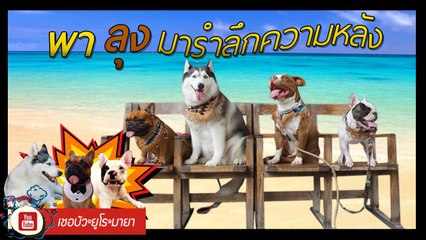 เชอบัว ยูโร มายา ตอนที่ 93 พาลุงมารำลึกความหลัง  แต่ครั้งนี้ไม่เหงาเหมือนเมื่อก่อนฮะ