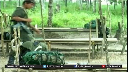 Colombian gov't, FARC to seal the peace deal - YouTube