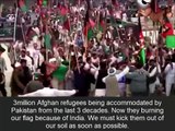 Afghans became Indian puppets