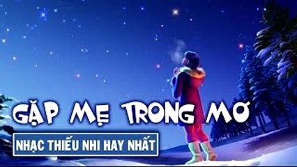 Gặp mẹ trong mơ - Trịnh Trung Kiên