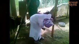 Indian Funny Videos  -- It happens only in