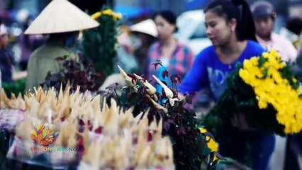 Lưu ý, chăm sóc da khi đi du lịch - Vui Sống Mỗi Ngày [VTV3 - 25.08.2016]