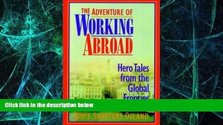 Big Deals  The Adventure of Working Abroad: Hero Tales from the Global Frontier  Free Full Read