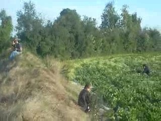 teuf k1 janots kxb 14_07_07