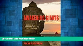 READ FREE FULL  Awakening Giants, Feet of Clay: Assessing the Economic Rise of China and India