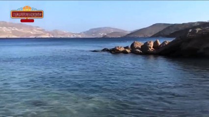 Lisa Haydon Has A PERFECT Body | Bollywood Asia