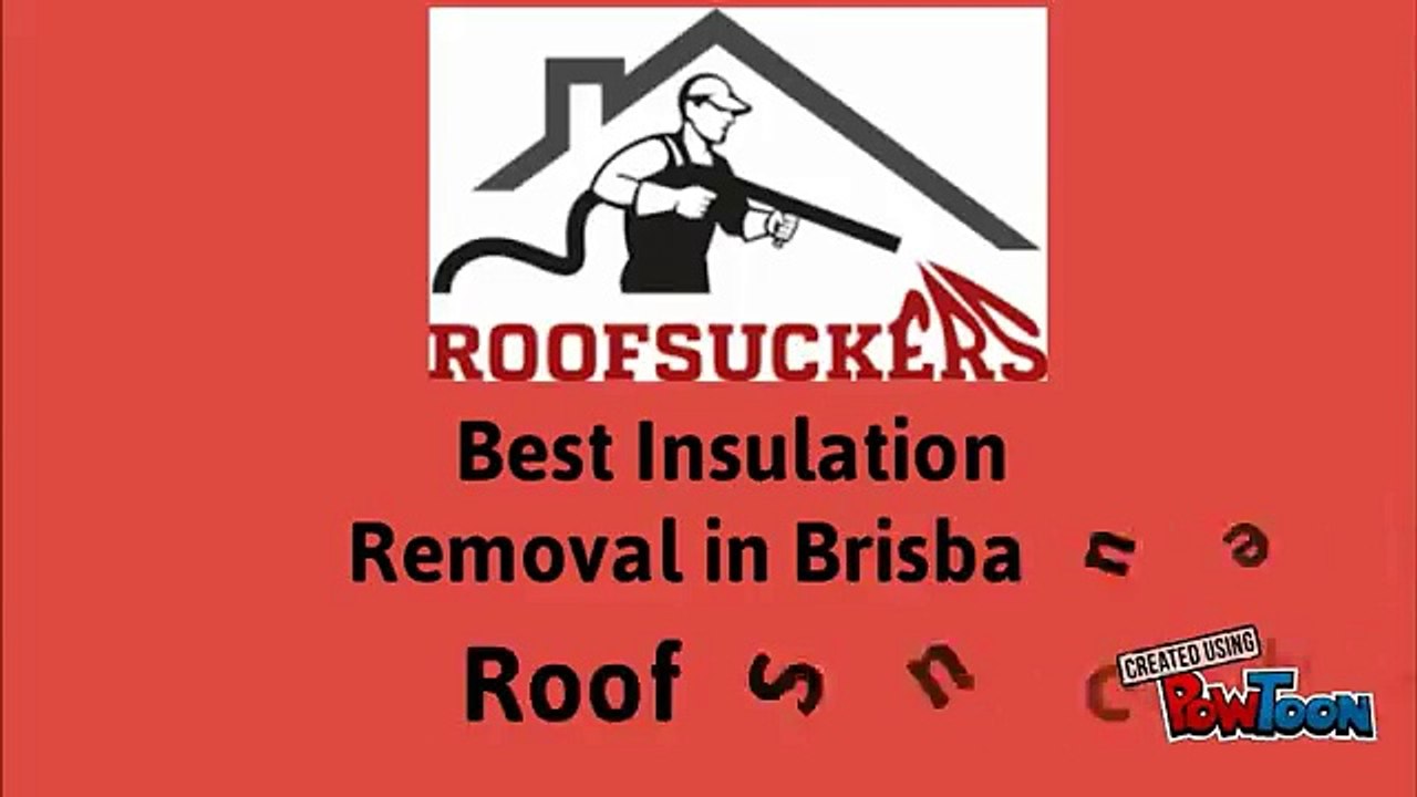 Get Attic Cleaning Services in Brisbane