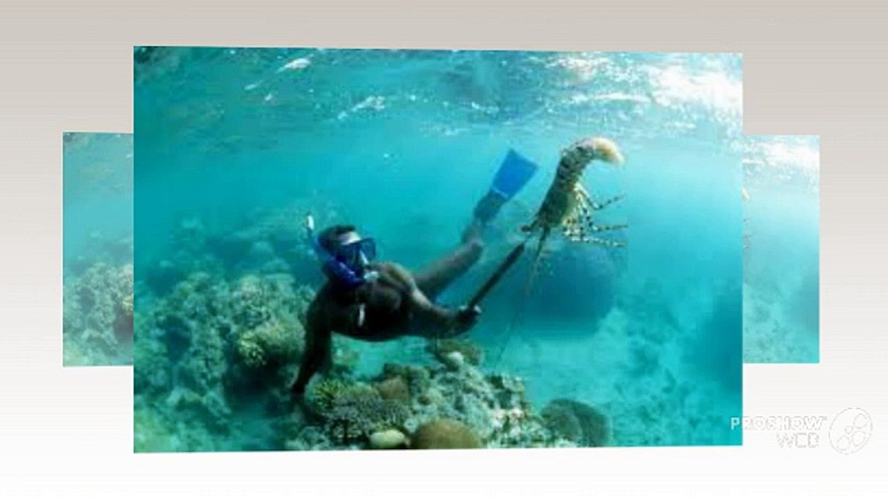 Six Important Safety Rules for Lobster Diving