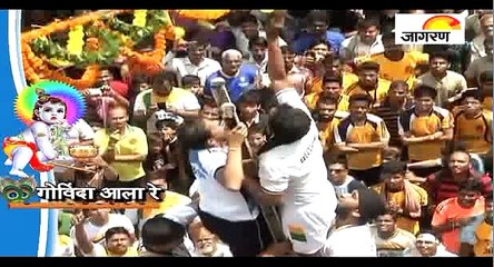 अनूठा दही हांडी उत्सव देखिये