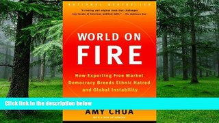 Big Deals  World on Fire: How Exporting Free Market Democracy Breeds Ethnic Hatred and Global