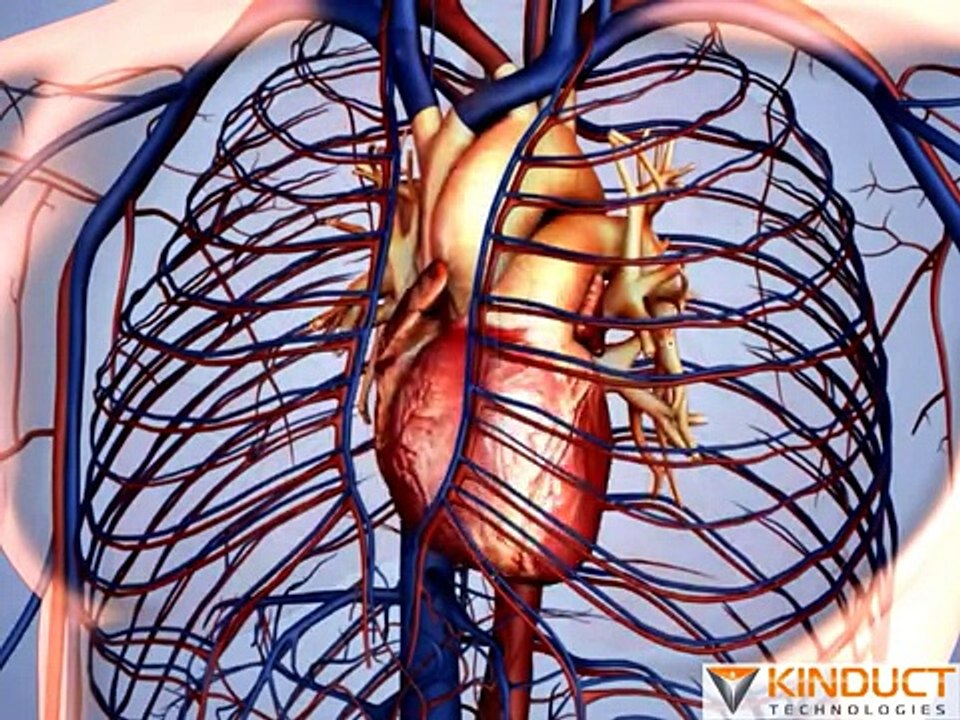 Smoking dramatically increases the risk of cardiovascular disease - YouTube