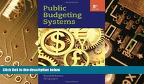 Big Deals  Public Budgeting Systems  Free Full Read Best Seller