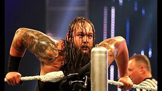 Bray Wyatt Try to Hypnotize Brock Lesnar Survivor Series 2015
