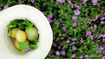 Le citron a des bienfaits considérables pour notre corps. Voici 3 petites astuces qui pourraient vous intéresser