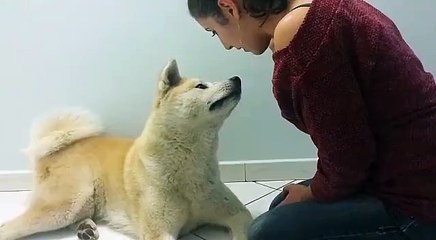 Una Dolce Conversazione tra Padroncina e Cagnolone