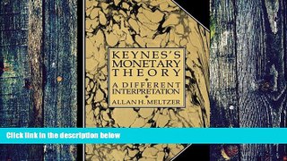 Big Deals  Keynes s Monetary Theory: A Different Interpretation  Free Full Read Most Wanted