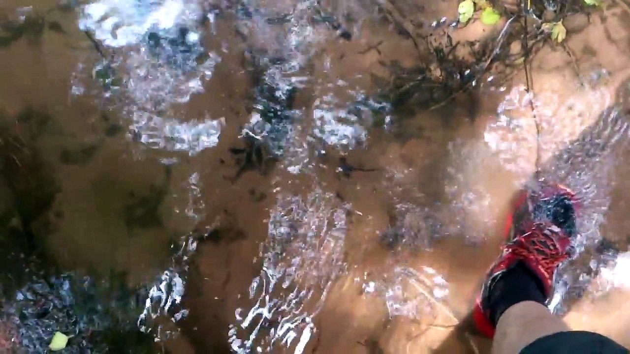 DETECTION EN MILLIEU AQUATIQUE ( 1 )