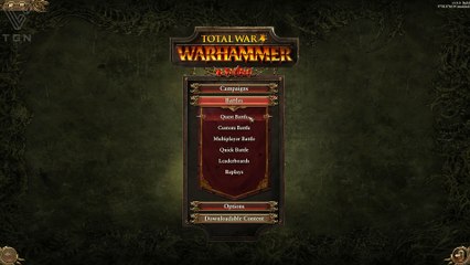 Total War Warhammer Online Battle 11
