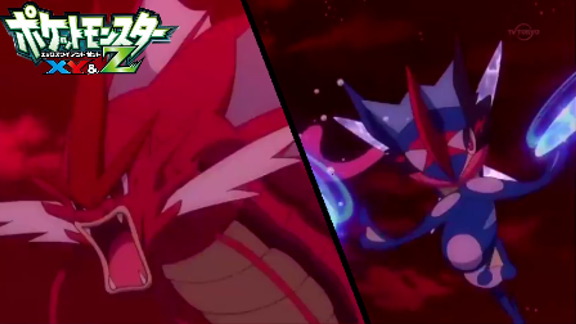 Team Flare Is after Zygarde in Pokémon the Series: XYZ, Coming