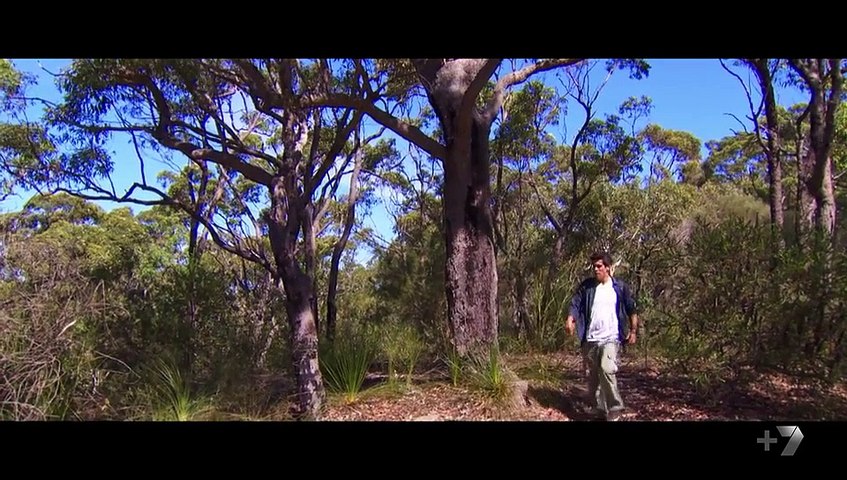 Home and Away 6489 25th August 2016 p.1/2 AUDIO FIX