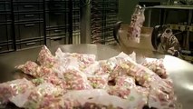 Comment sont fabriqués les bonbons composés de gélatine ? Voici une vidéo qui ne vous mettra pas en appétit !