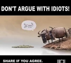 Reality of our life dont argue with idiots