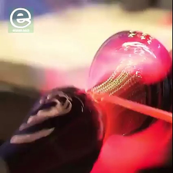 @ Amazing Animals @ Beautiful Nature @