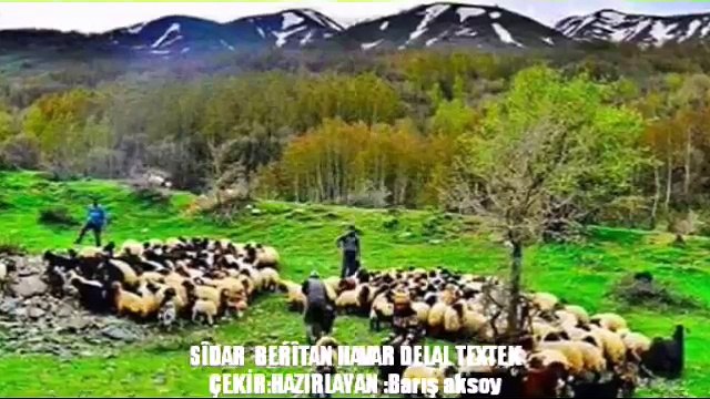 KÜRTÇE UZUN HAVA YÜREK YAKAN DENGBEJİ STRANE KURDİ HAWAR DELAL SİDAR BERİTAN KLİP 2016