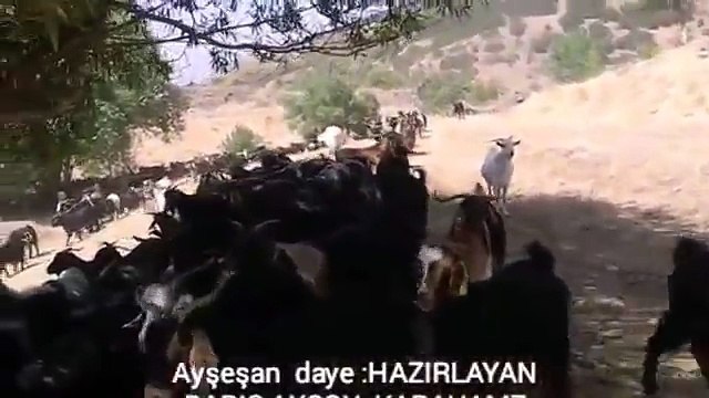 YÜREK YAKAN KÜRTÇE MÜZÎK ŞARKI AYŞEŞAN DENGBEJİ UZUN HAVA XERÎBÎM DAYE KANİYA KEWA MUŞ 2016