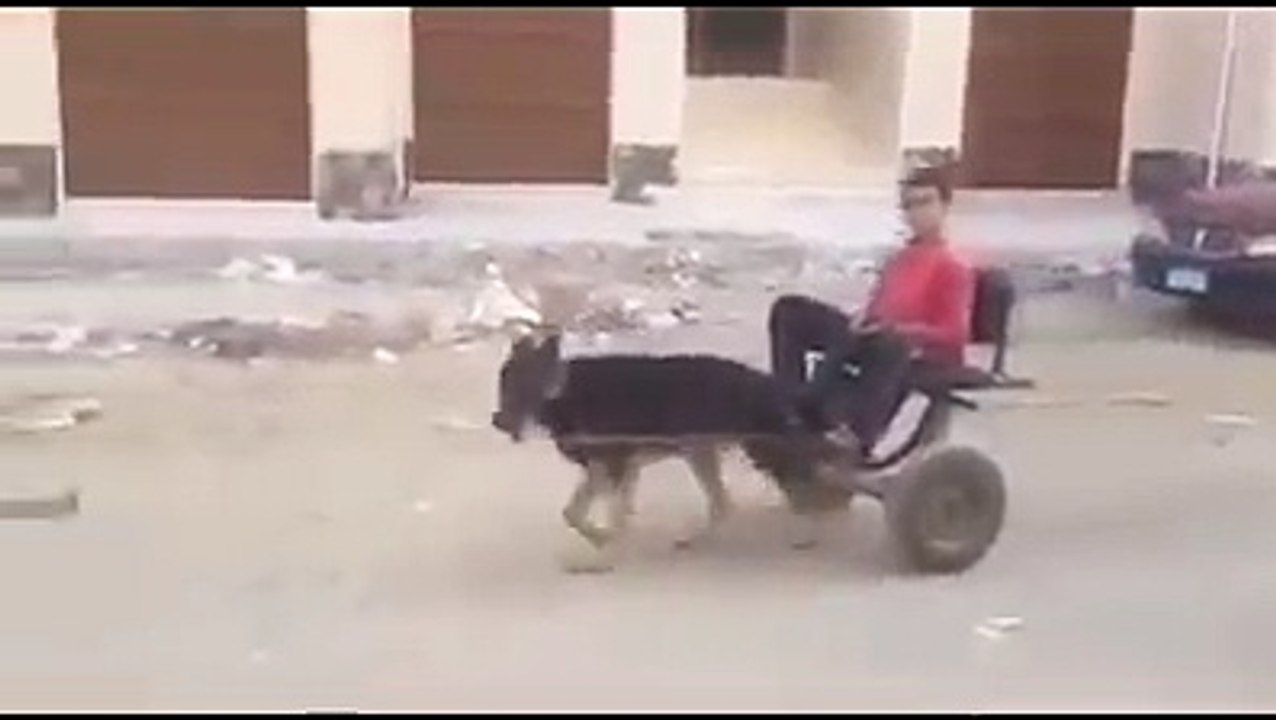 amaizing video kuta redhi,,
