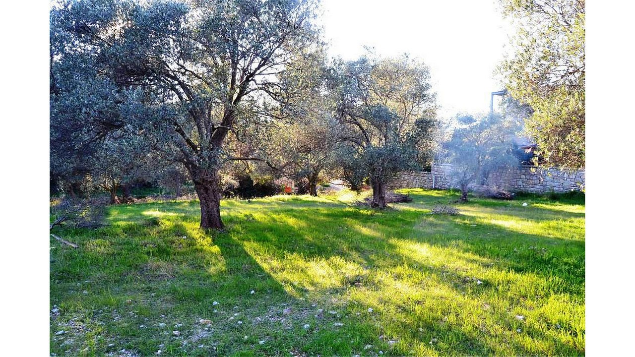 Bodrum Bitez Satılık Arsa