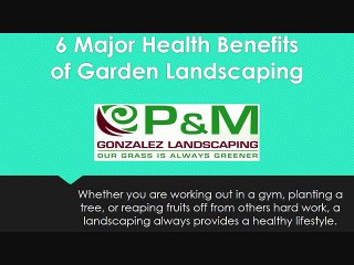 6 Major Health Benefits Of Garden Landscaping