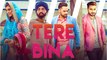 Tere Bina HD Video Song Monty & Waris feat Ginni Kapoor 2016 | Latest Punjabi Songs
