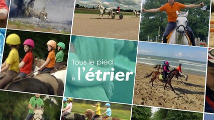Episode 19 - Le cheval en liberté