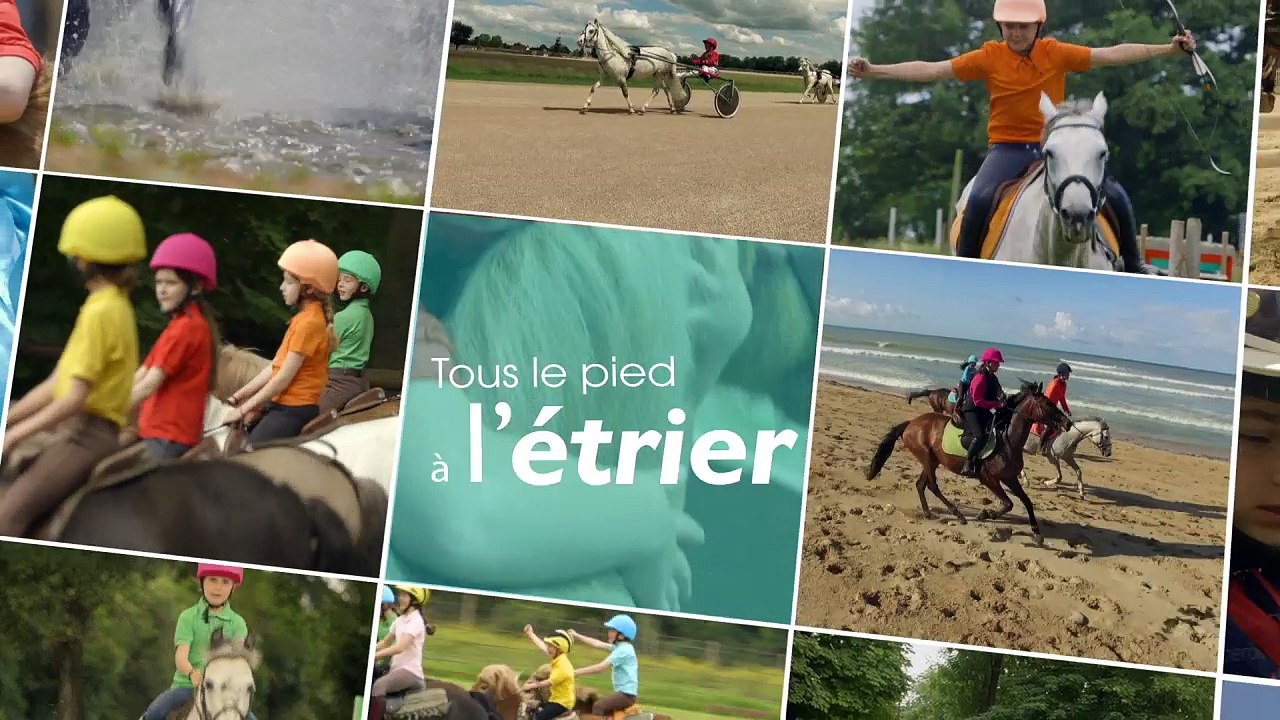 Episode 20 - Paddock polo à poney