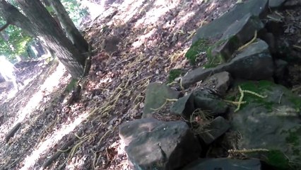 ANCIEN RETRANCHEMENT MILITAIRE