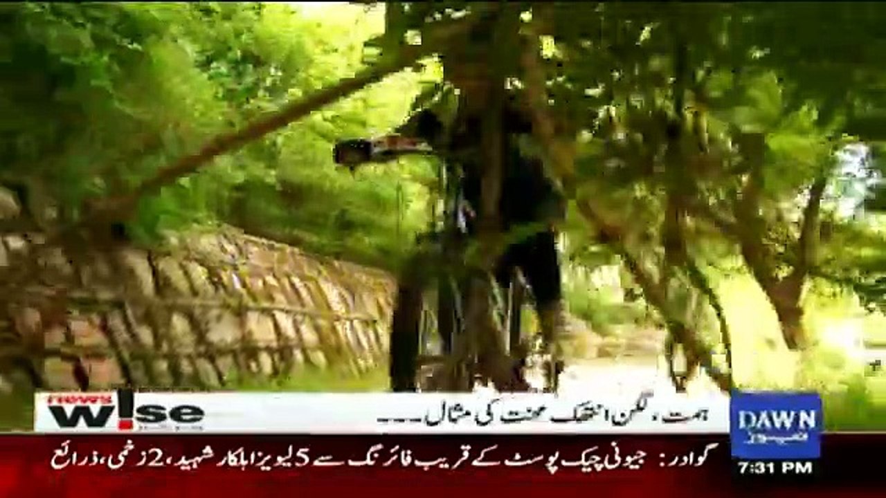 News Wise - 25th August 2016
