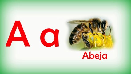 LAS CINCO VOCALES CANCION  Educacion Infantil