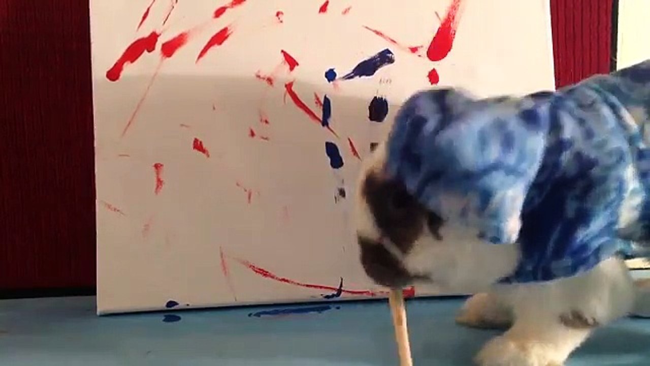 Rencontre avec Bini, le lapinou le plus génial de toute la planète !