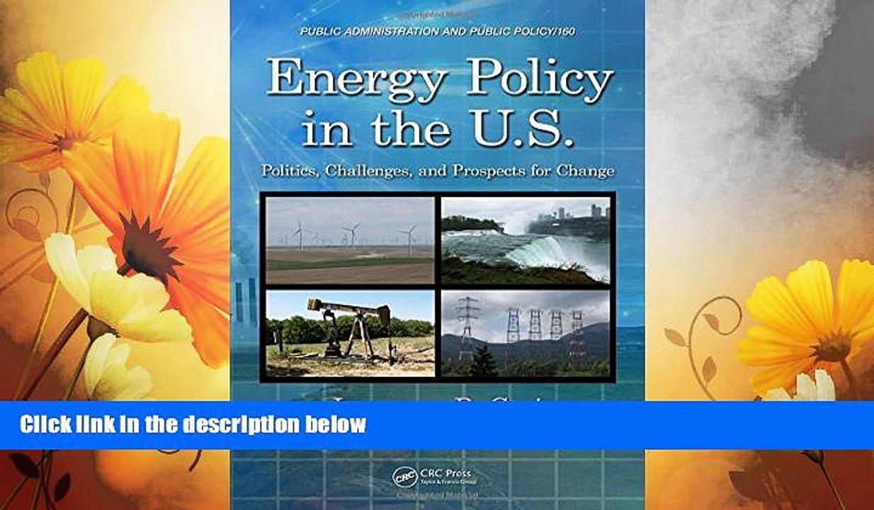 READ FREE FULL  Energy Policy in the U.S.: Politics, Challenges, and Prospects for Change (Public