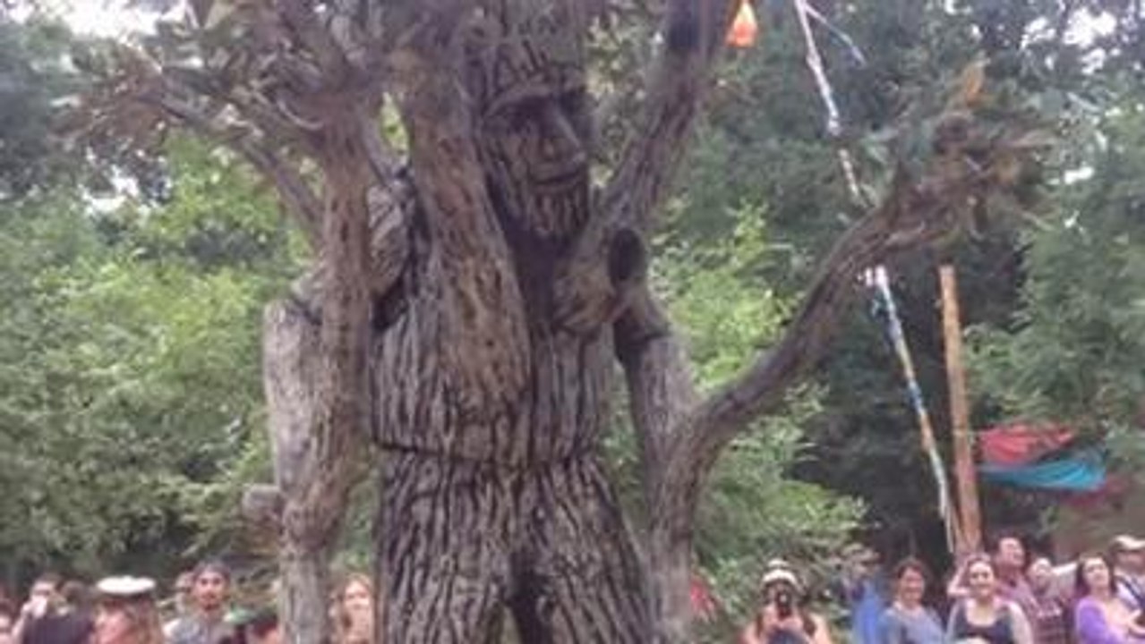Ent Cosplay L Arbre Vivant Du Seigneur Des Anneaux Existe Video Dailymotion