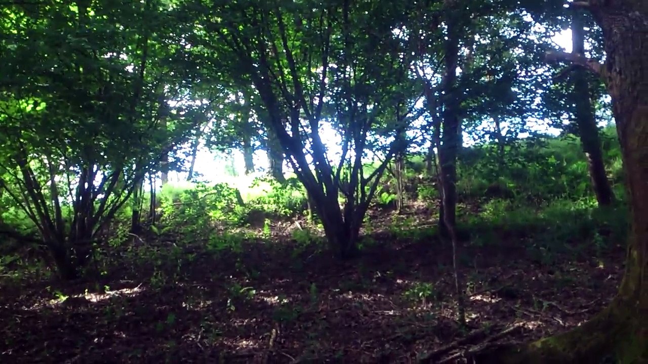 DOUILLE DE LA SECONDE GUERRE MONDIALE