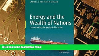 Must Have  Energy and the Wealth of Nations: Understanding the Biophysical Economy  READ Ebook