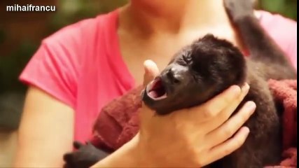 Funny Cute Baby Animals Yawning Compilation 2014 [NEW] !