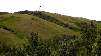 Zip Line Crash