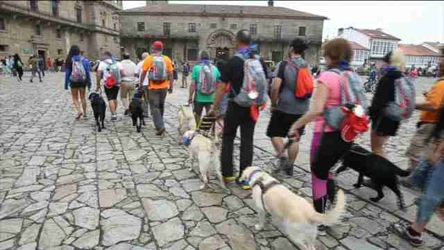 En el Camino de Santiago, la ceguera no es una piedra