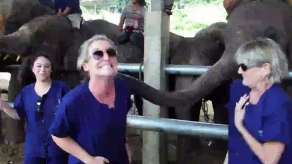Woman Freaks Out Meeting Elephant
