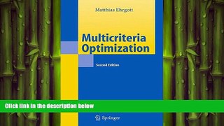FREE DOWNLOAD  Multicriteria Optimization  BOOK ONLINE